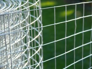 Kennel Fence Image